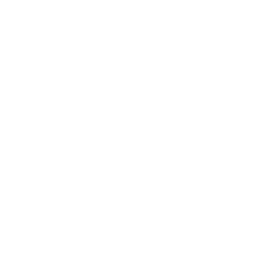 Penati logo